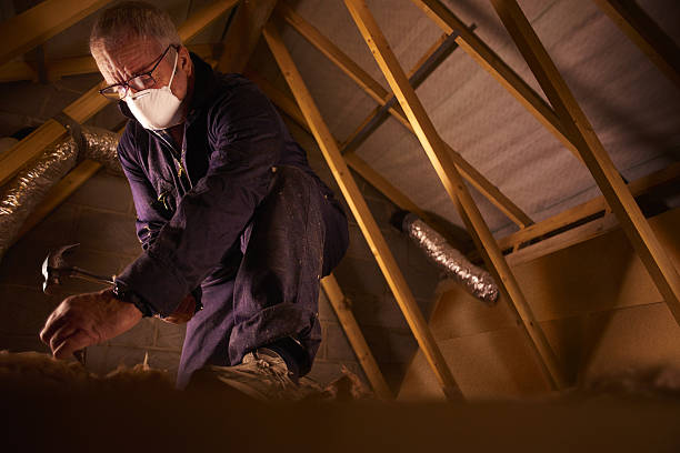 Best Specialty Insulation in Jones Valley, CA